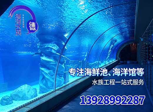 德洋